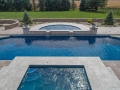 Fiberglass Pool and Spa